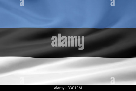 Very large flag of the baltic country Estonia Stock Photo