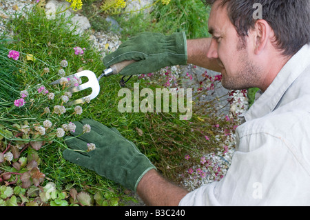 A man planting flowers in a garden Stock Photo