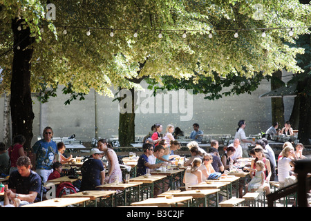 Pollen falling from trees over visitors sitting in the Tierpark in Berlin Germany Stock Photo