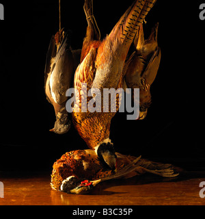 Game birds hanging above a table Stock Photo