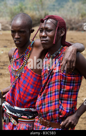 Male Maasai in traditional Shuka clothing with shepherd's crook, Tsavo ...