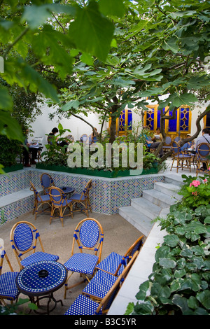 Fig tree gardens at La Grande Mosquée de Paris Café Stock Photo