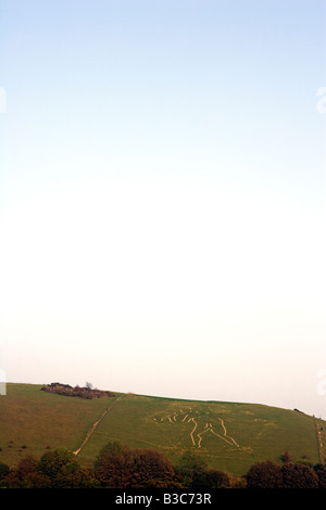 England, Dorset, Cerne Abbas. The Cerne Abbas Giant or the 'Rude Man' is the largest hillfigure in Britain, he is one of two representations of the human form, the other being the Long Man of Wilmington in East Sussex. The giant, carved in solid lines from the chalk bedrock, measures in at 180 feet high, and carries a huge knobbled club, which measures 120 feet in length. Stock Photo