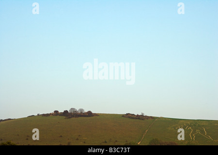 England, Dorset, Cerne Abbas. The Cerne Abbas Giant or the 'Rude Man' is the largest hillfigure in Britain, he is one of two representations of the human form, the other being the Long Man of Wilmington in East Sussex. The giant, carved in solid lines from the chalk bedrock, measures in at 180 feet high, and carries a huge knobbled club, which measures 120 feet in length. Stock Photo