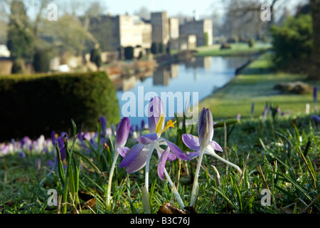 England, Dorset, Thorncombe. Forde Abbey forms part of the boundary between Dorset and Somerset and its elegant former Cistercian monastery and its 30 acres of award winning gardens located within an Area of Outstanding Natural Beauty make it one of West Dorsets premier tourist locations. Early morning crocuses overlook ornamental lake. Stock Photo