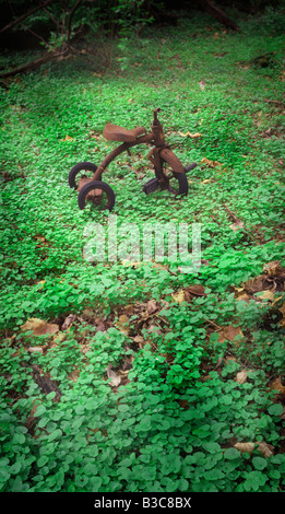 Old Very Rusty Tricycle Abandoned In Forest Stock Photo