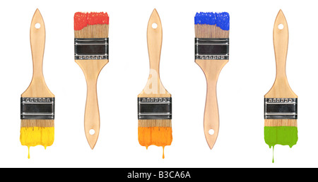 Multiple Paintbrushes With Wet Paint Dripping Off of Them Isolated on White Background Stock Photo