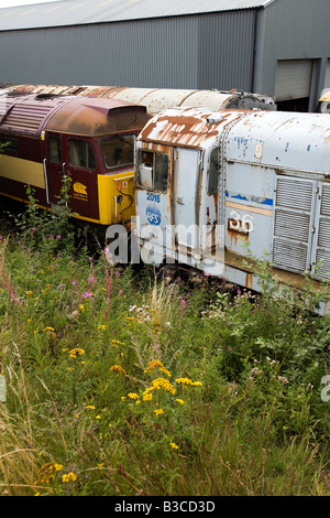 UK Derbyshire Chesterfield Barrow Hill Roundhouse Railway Centre unrestored diesel locomotives in yard Stock Photo