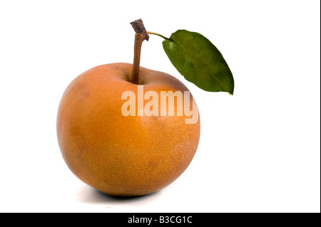 one Nashi pear isolated on white Stock Photo