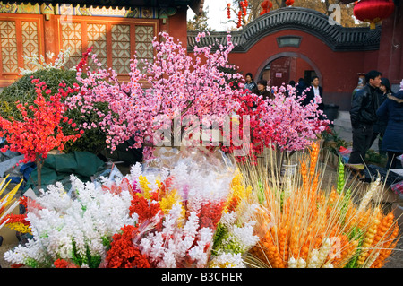China, Beijing. Chinese New Year Spring Festival - a flower display at Ditan Park temple fair.