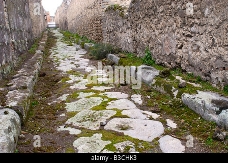 Ancient Paved Road With Carriage Wheel Ruts. Pompeii Italy Stock Photo ...