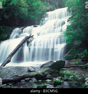 Liffey Falls rushing from rainforest in Tasmania Australia Stock Photo