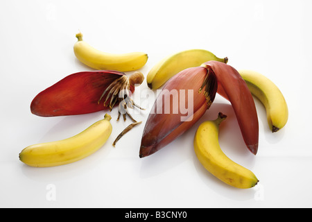 Banana flower and bananas, elevated view Stock Photo