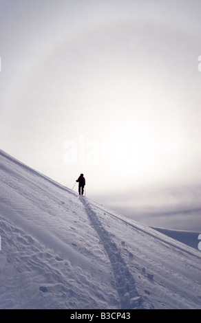 Halo and a skier climbing the slopes of Middagstinden mountain, Lyngen Alps, arctic Norway Stock Photo