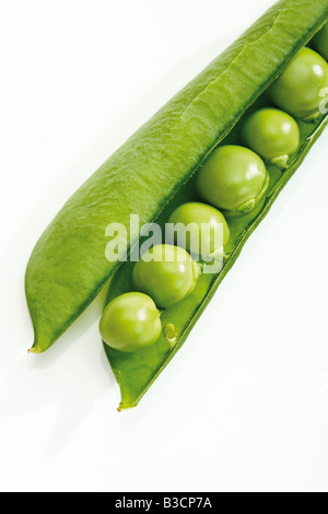 Snow peas in pod, close-up Stock Photo