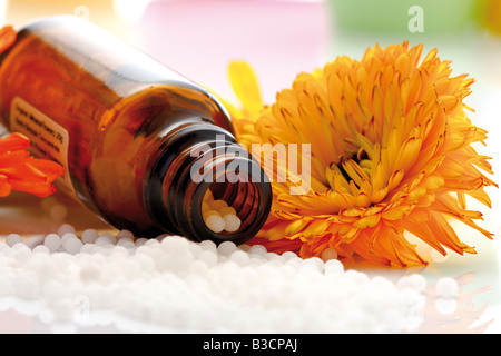 Medicinal flask with pills in front of Marigold ((Calendula officinalis), close-up Stock Photo