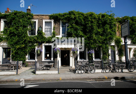 The Albion pub on Thornhill Road, Barnsbury, London Stock Photo