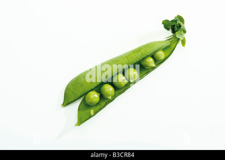 Snow peas in pod, close-up Stock Photo
