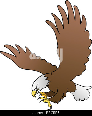 Illustration of bald eagle with spread wings Stock Photo