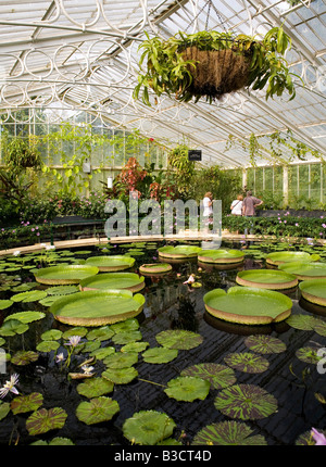 Waterlily House, Kew Gardens, London Stock Photo