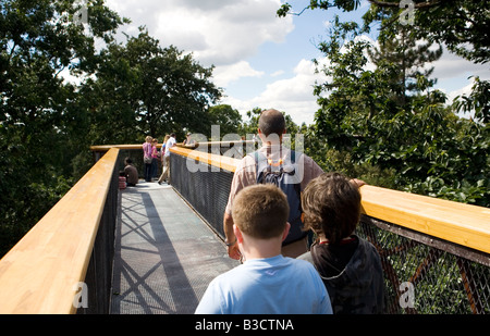 Tree top walk, Kew Gardens Stock Photo