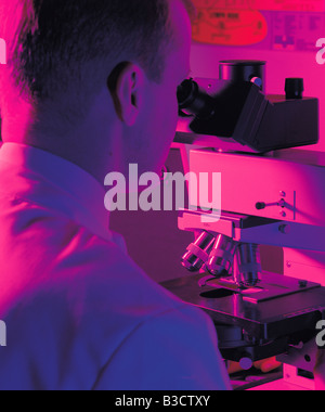Technician looking through microscope in hospital laboratory. Stock Photo