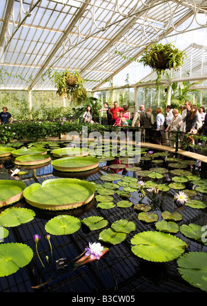 Waterlily House, Kew Gardens, London Stock Photo