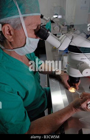 Embryologist placing embryo on a culture dish during Vitrification process at the fertility clinic in Sheba medical center, in Tel Hashomer, Israel Stock Photo