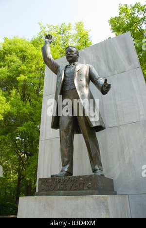 Washington DC USA Theodore Roosevelt Island statue of President Roosevelt Photo copyright Lee Foster Photo 27 washdc80397 Stock Photo