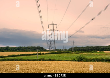 metal pylon carrying electricity supply power lines Stock Photo