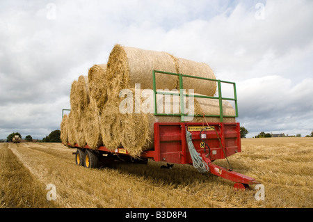Stack of round straw bales on trailer in stubble field Stock Photo