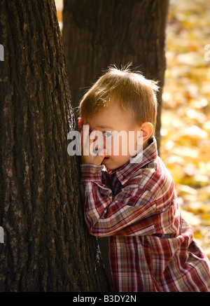 Boy plays hides and seek game Stock Photo