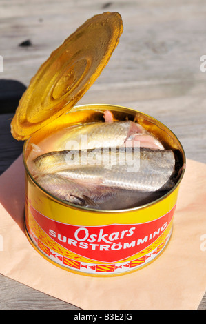 Canned fermented baltic herring hi-res stock photography and