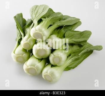 Bok choy, Chinese celery cabbage Stock Photo
