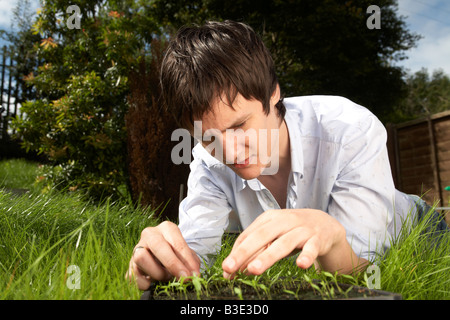 young dark haired man late teens early twenties tending a tray of parsley herb seedlings in a garden Stock Photo