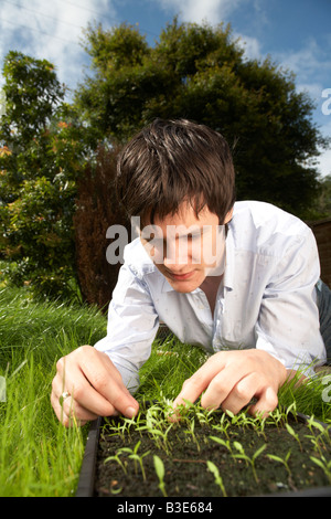 young dark haired man late teens early twenties tending a tray of parsley herb seedlings in a garden Stock Photo