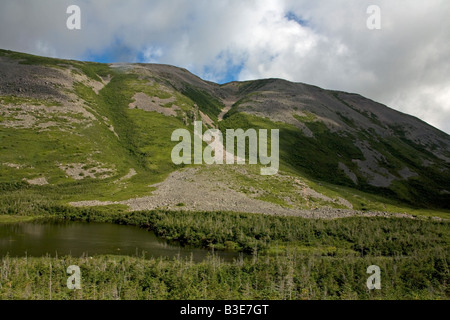 Gross Morne trail in Gros Morne National Park Stock Photo