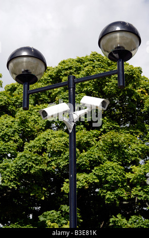 CCTV security camera for activity monitoring and surveillance in green ...
