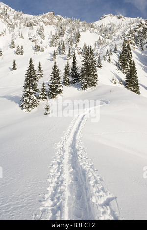 Tracks in snow Stock Photo