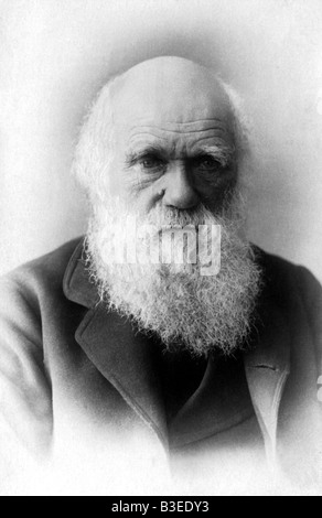 Darwin, Charles Robert, 12.2.1809 - 19.4.1882, British naturalist, portrait, circa 1880, Stock Photo