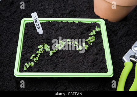 Plants in the shape of a graph Stock Photo