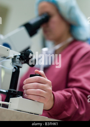Embryologist with microscope performing an intra cytoplasmic sperm injection (selective focus) Stock Photo
