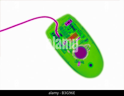 x-ray of a computer mouse showing its internal structure Stock Photo