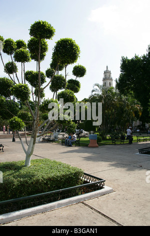 Plaza Grande, Merida, Yucatan Peninsular, Mexico Stock Photo