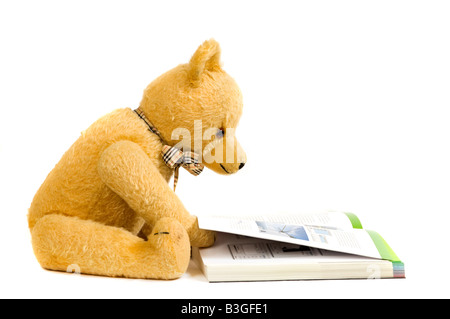 Teddy bear reading a book Stock Photo