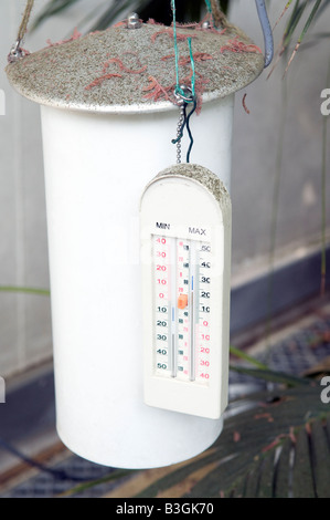 Maximum and minimum greenhouse thermometer Stock Photo