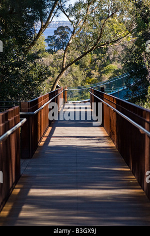 Footbridge in Kings Park, Perth Stock Photo