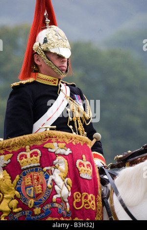 British Mounted Armed Forces, the Musical Ride of the Household Cavalry Regiment display, Chatsworth Country Park, Derbyshire. Stock Photo