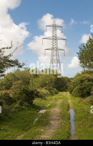 An electricity pylon Goss Moor Cornwall Stock Photo
