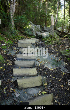 Appalachian Trail Beaver Brook Trail during the summer months Located in the White Mountains New Hampshire USA Stock Photo